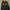 A Bathing Ape Streetwear Luxury Hoody Pria black photo 2