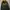 A Bathing Ape Streetwear Luxury Hoody Pria black photo 1
