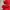 thisisneverthat Streetwear Casual Hoody Pria red photo 6