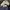 Stone Island Gorpcore Casual Windbreaker Pria navy photo 2