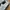 Adidas Casual Sneakers Wanita white gray photo 2