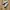 Adidas Casual Sneakers Wanita white tan photo 1