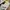 Adidas Casual Sneakers Pria multicolor white photo 2