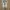 Adidas Casual Sneakers Pria multicolor white photo 3