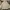 Timberland Casual Parka Pria cream photo 1