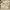 Timberland Casual Parka Pria cream photo 4