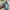 Streetwear Reworked Sweatshirt Pria multicolor photo 4