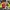 Joyrich Luxury Casual Bomber jacket Pria multicolor yellow photo 1