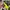 Joyrich Luxury Casual Bomber jacket Pria multicolor yellow photo 3