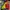 Joyrich Luxury Casual Bomber jacket Pria multicolor yellow photo 2