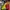 Joyrich Luxury Casual Bomber Jacket Pria Multicolor Yellow