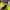 Joyrich Luxury Casual Bomber jacket Pria multicolor yellow photo 6
