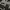 Billabong Gorpcore Pria Black