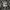 Billabong Gorpcore Pria black photo 1