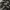 Billabong Gorpcore Pria black photo 4