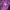 Vintage Y2K T-shirt Pria Purple
