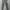 Champion Casual Sweatpants & Joggers Pria gray photo 2