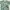 Casual T-shirt Pria Green