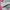 New Balance Streetwear Casual Sneakers Pria White Gray