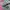 New Balance Streetwear Casual Sneakers Pria gray photo 2