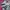 New Balance Streetwear Casual Sneakers Pria gold silver photo 2
