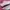Puma Streetwear Casual Sneakers Wanita white pink photo 2