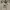 Vintage Casual Casual dress Wanita white gray photo 3