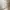 Kangol Streetwear Sportswear Bag Pria white cream photo 7