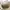 Kangol Streetwear Sportswear Bag Pria white cream photo 6