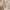Crocodile Y2K Casual Blazer Wanita brown photo 5