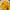 Streetwear Gorpcore Vest Pria yellow photo 4