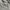 Caterpillar Casual Polo shirt Pria gray photo 7