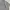 Caterpillar Casual Polo shirt Pria gray photo 4