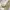 National Geographic Streetwear Skater Bag Pria white cream photo 3