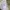 National Geographic Streetwear Skater Bag Pria white cream photo 4