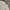 Adidas Sportswear Polo shirt Pria white photo 2