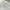 H&M Casual High waisted jeans Wanita white photo 4