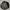 Adidas Sportswear Track Jacket Pria Black