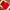 Streetwear Gorpcore Vest Pria burgundy red photo 4