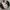 Japanese brand Streetwear Sportswear Varsity jacket Pria cream black photo 1