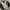 Japanese Brand Streetwear Sportswear Varsity Jacket Pria Cream Black