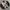 Japanese brand Streetwear Sportswear Varsity jacket Pria cream black photo 2