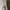 Zara Luxury Coquette Prom dress Wanita white cream photo 3