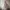 Zara Luxury Coquette Prom dress Wanita white cream photo 1