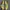 Adidas Casual Sneakers Pria yellow blue photo 5