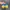 Adidas Casual Sneakers Pria yellow blue photo 4