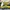 Adidas Casual Sneakers Pria Yellow Blue