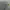 Nike Casual Sweatshirt Pria gray photo 4
