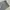 Sportswear Legging Wanita gray photo 4