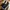 Adidas Sportswear Sneakers Pria white black photo 2